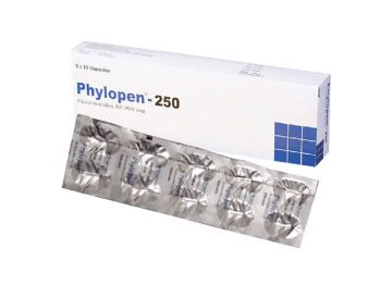 Phylopen-250mg